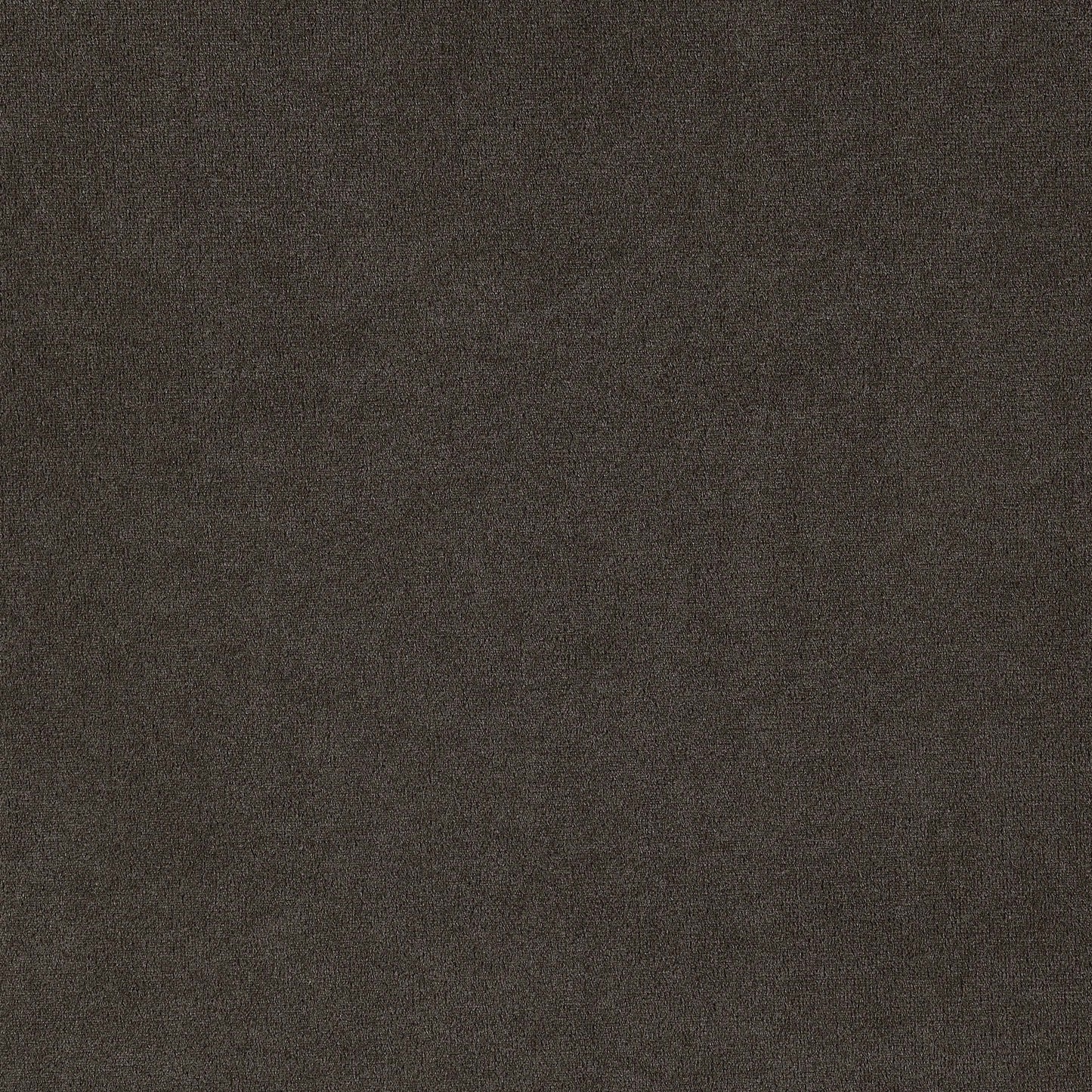 Alana Velvet Upholstered Dining Arm Chair Brown