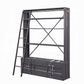 Cargo Bookcase W/Ladder