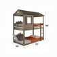 Darlene Twin/Twin Bunk Bed