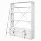 Cargo Bookcase W/Ladder