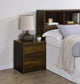 Westpark 2-drawer Nightstand LED Lights and USB Dark Pine